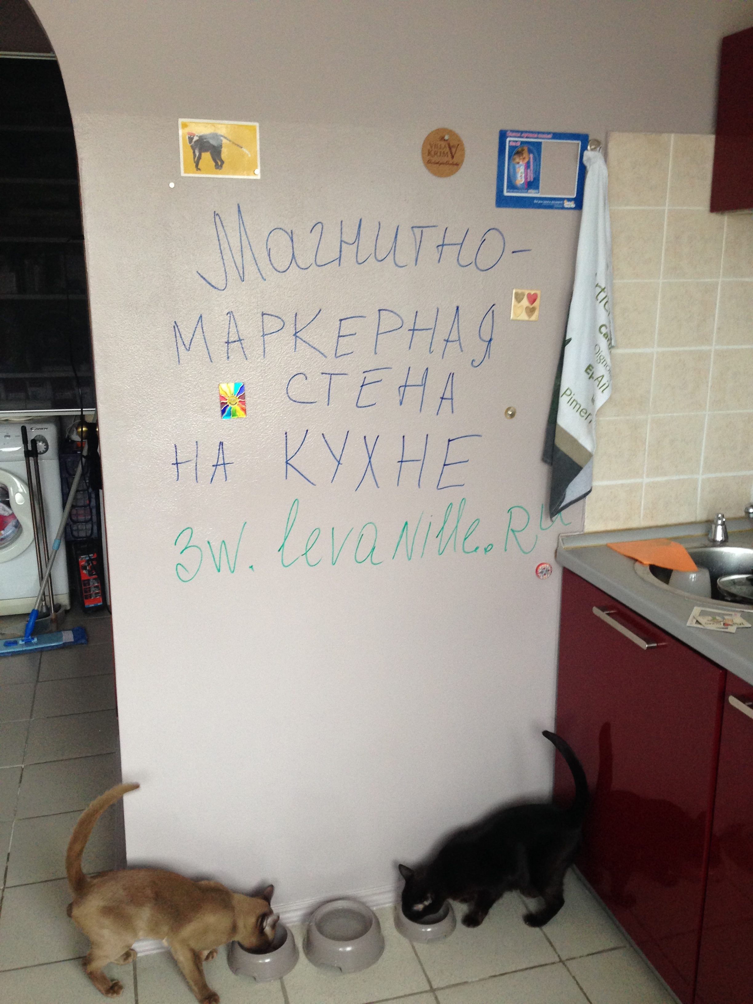 Магнитно маркерная краска